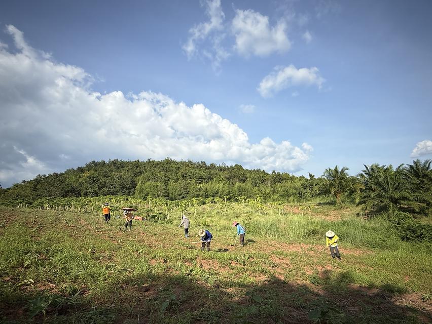 ขายที่ดิน พร้อมที่พักอาศัย 12