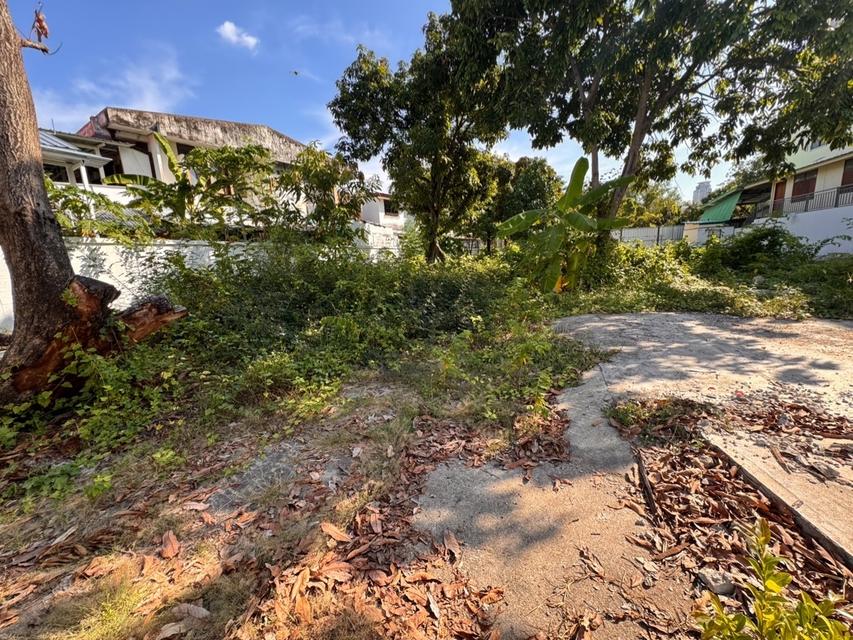 ขาย ที่ดิน ถูกที่สุดในซอย ปรีดี 14 สุขุมวิท 71 166 ตรว ม.เกษมสำราญ 2 เหมาะ บ้าน อาคาร 6