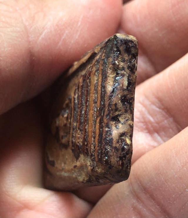 พระสมเด็จวัดระฆัง พิมพ์ใหญ่ รูปที่ 5