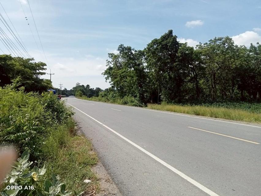 ที่ดิน ห้วยโป่ง โคกสำโรง จ. ลพบุรี 9