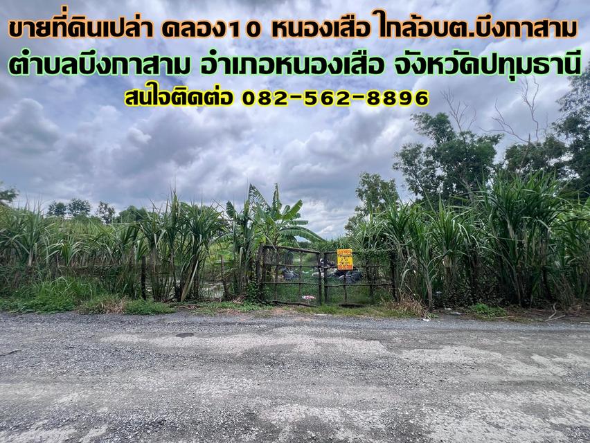 ขายที่ดินเปล่า คลอง10 หนองเสือ ใกล้อบต.บึงกาสาม 1