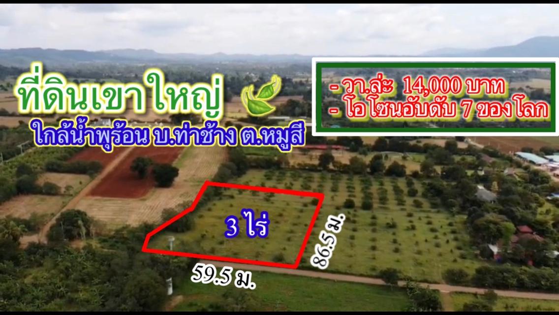 ที่ดินเขาใหญ่ 3ไร่.(ขายแบ่งครึ่งได้)  | ใกล้น้ำพุร้อน บ. ท่าช้างหมูสี | ตร.วาล่ะ 13,000บ. 1