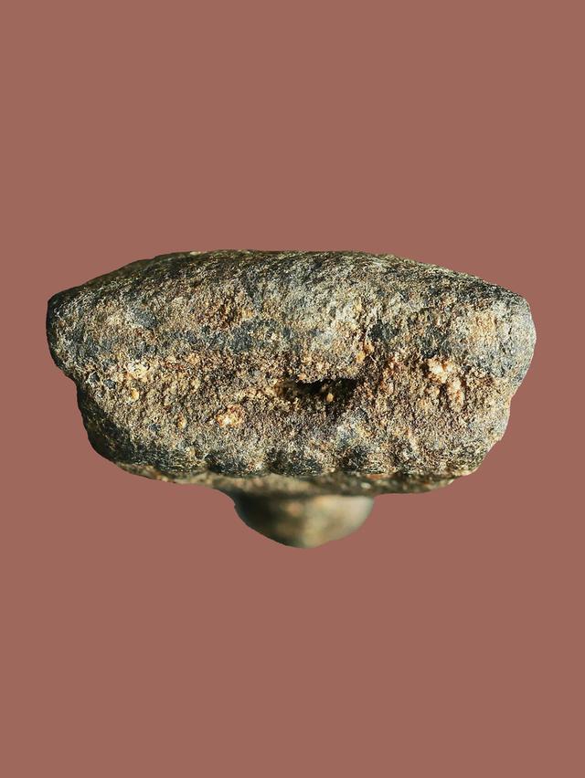 หลวงปู่ทวด เนื้อว่าน วัดช้างให้ พิมพ์ใหญ่ เก่าๆ เนื้อจัดสุดๆ