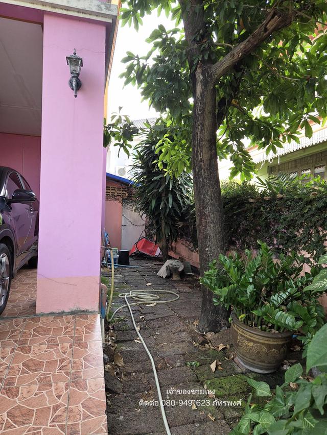 🔥 ขายต่ำกว่าราคาประเมิน! แปลงมุม "ทรงถุงเงิน" 62.2 ตร.ว. (ฟรีโอน) เจ้าของขายเอง - หมู่บ้านชัยพฤกษ์ บางขุนเทียน 3