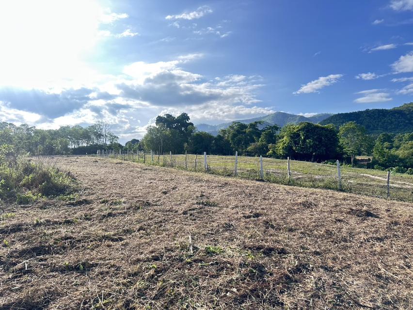 ที่ดิน พุหวาย ชะอำ จ เพชรบุรี ขนาด 6.375 ไร่  12