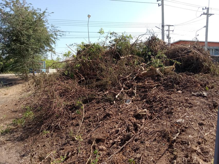 ที่ดิน 100 ตรว. บ่อเงินซอย 8 ต.บ่อเงิน อ.ลาดหลุมแก้ว จ.ปทุมธานี 9