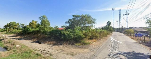 2394 ขาย ที่ดิน ที่ดิน บางบ่อ ชั้นทั้งหมด 1 ชั้น ใกล้กับ นิคมอุตสาหกรรมเวลโกรว์ ชั้นที่ 1 18000000 บาท 1