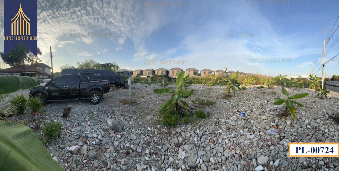 ขายที่ดิน คลองสามประเวศ ลาดกระบัง ขนาด180 ตารางวาเหมาะสร้างบ้านราคาย่อมเยาว์ 2