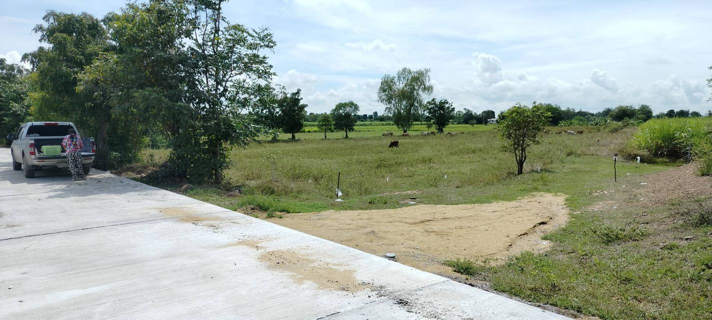 ขายที่ดิน ไร่ละ110,000บ.ต.หัวนา อ.เดิมบางนางบวช สุพรรณบุรี เหมาะทำที่พักอาศัยและทำฟาร์ม/การเกษตรที่ต้องการธรรมชาติ ใกล้ตลาดนัด 7-11 CJ โทร.081-7804073 8