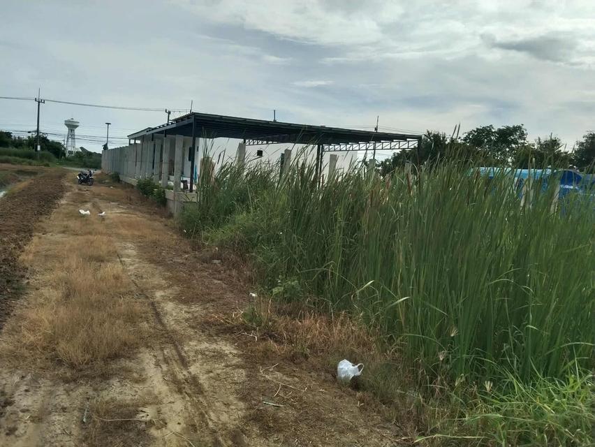 ขายที่ดินทำเลทองนครปฐมต่ำกว่าราคาประเมิน 1