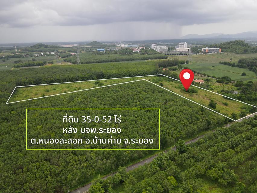 ขายที่ดิน ทำเลทอง ใจกลางนิคมฯ ระยอง 35-0-52 ไร่ 2