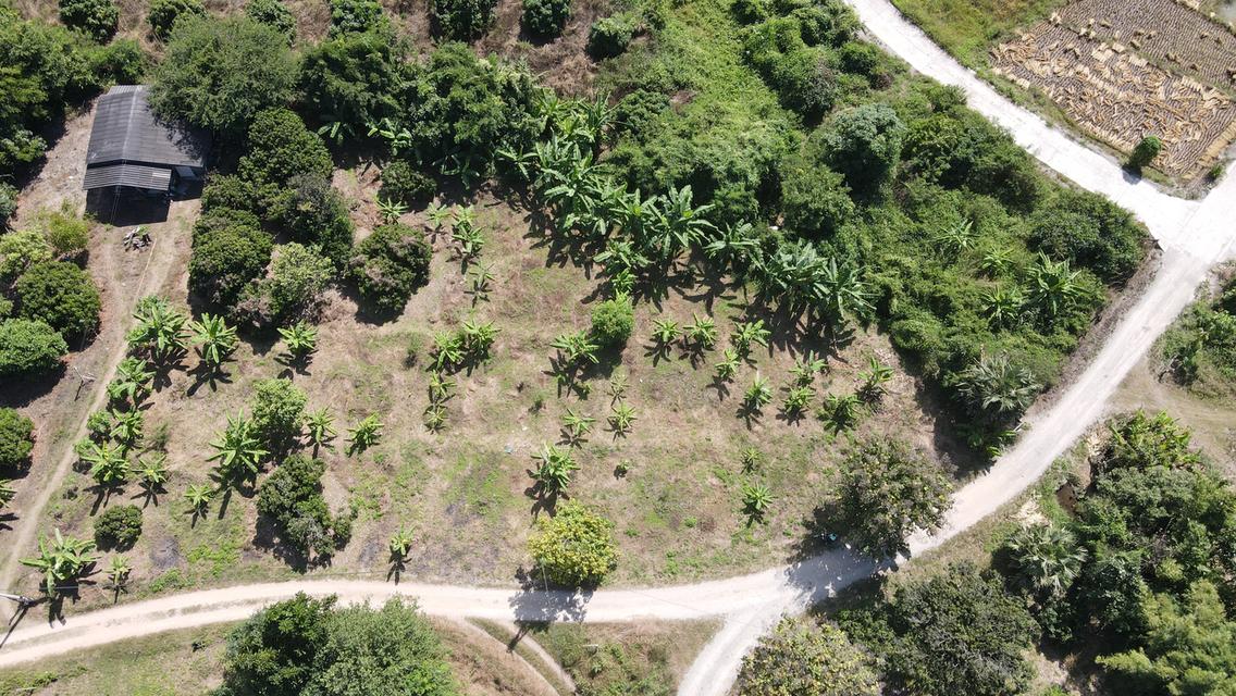 🌳ขายที่ดินเจ้าของขายเอง ด่วน📌 14