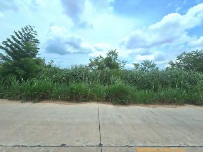 ขายที่ดินผังม่วงศรีราชาชลบุรี ขายที่ดินสวยพื้นที่สีม่วงชลบุรี ผังสีม่วงลาย เนื่อที่ 47-0-23 ไร่ 8