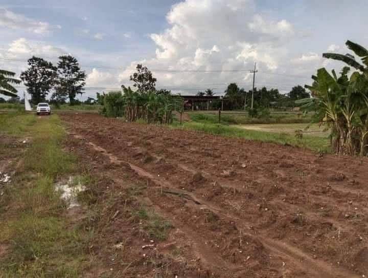 ที่ดิน ติดถนน 4 เลน จ.บุรีรัมย์ 14