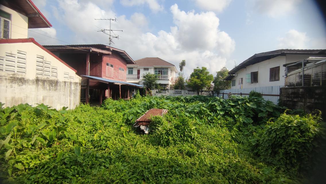 ขายที่ดิน 191 ตารางวา ซอยประชาอุทิศ 17 แยก 1 ใกล้ทางด่วน ใกล้รถไฟฟ้าสายสีม่วงใต้ 4