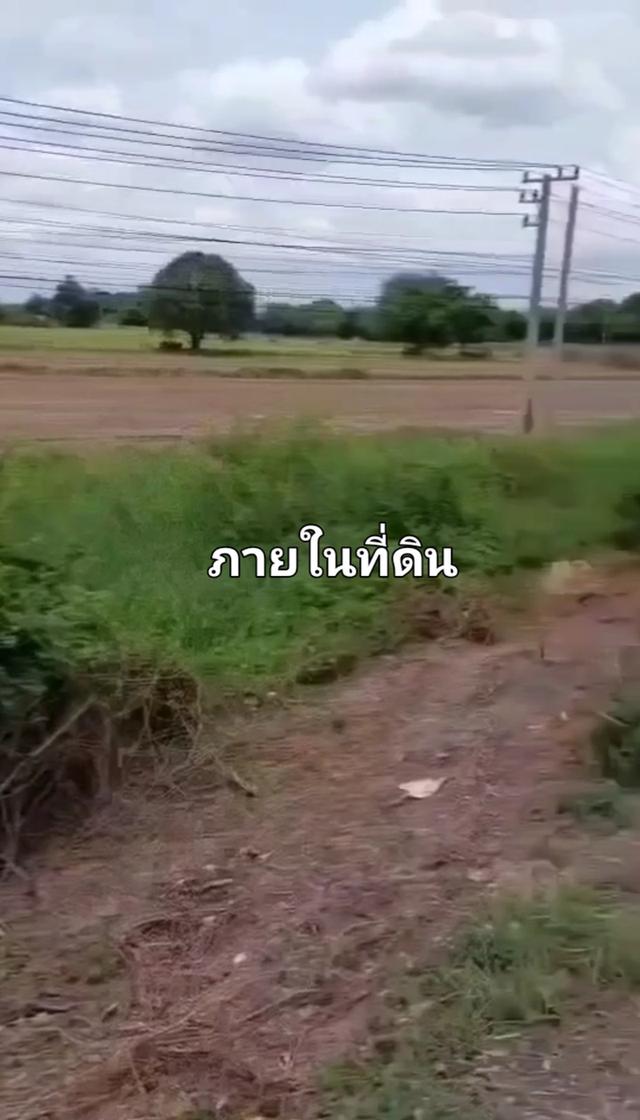 ขายที่ดิน 10-1-10 ไร่ ติดถนนสายเอเซียฝั่งขาเข้ากทม กิโลเมตรที่ 58 ต.จระเข้ร้อง อ.ไขโย อ่างทอง หน้ากว้างติดถนน 180 เมตร ขายไร่ละ 3 ล้าน 78 3