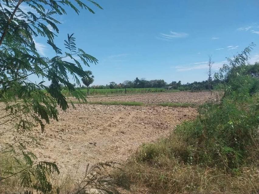 Land for Sale ขายที่ดินสวย‼️ติด ถนน 304 บ้านวังน้ำเขียว ต.อุดมทรัพย์ อ.วังน้ำเขียว จ.นครราชสีมา  5