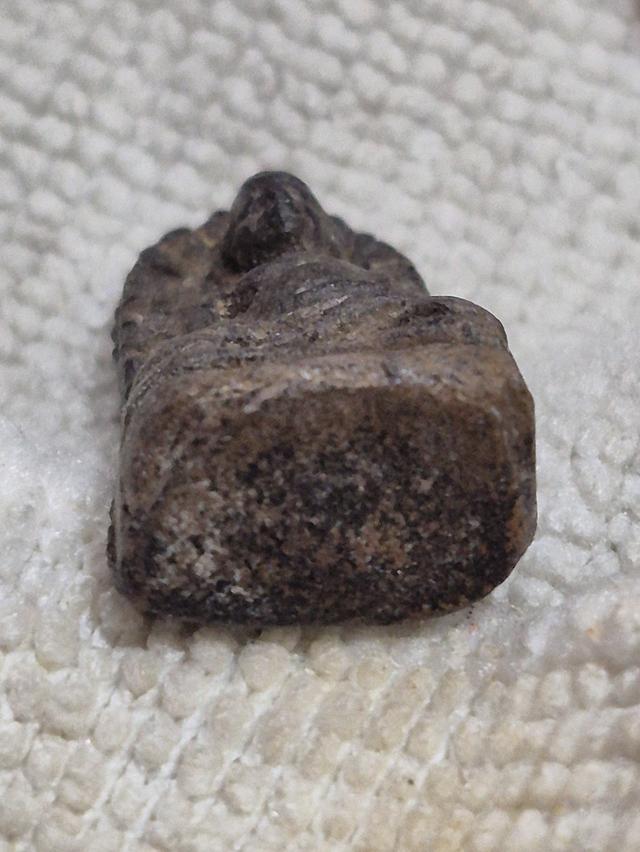 พระเครื่องพระสมเด็จพระทั่วๆไป 3