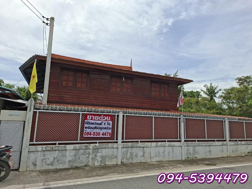 ที่ดิน 1 ไร่ พร้อมสิ่งปลูกสร้าง (บ้านทรงไทย) อ.วิเศษไชยชาญ จ.อ่างทอง 1