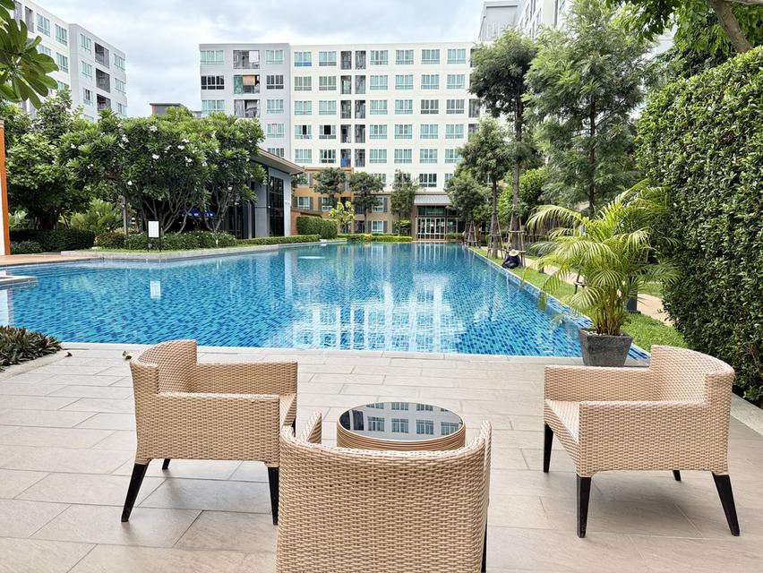 ปล่อยเช่าคอนโด D Condo Nim (ดีคอนโด นิม) เชียงใหม่ 3
