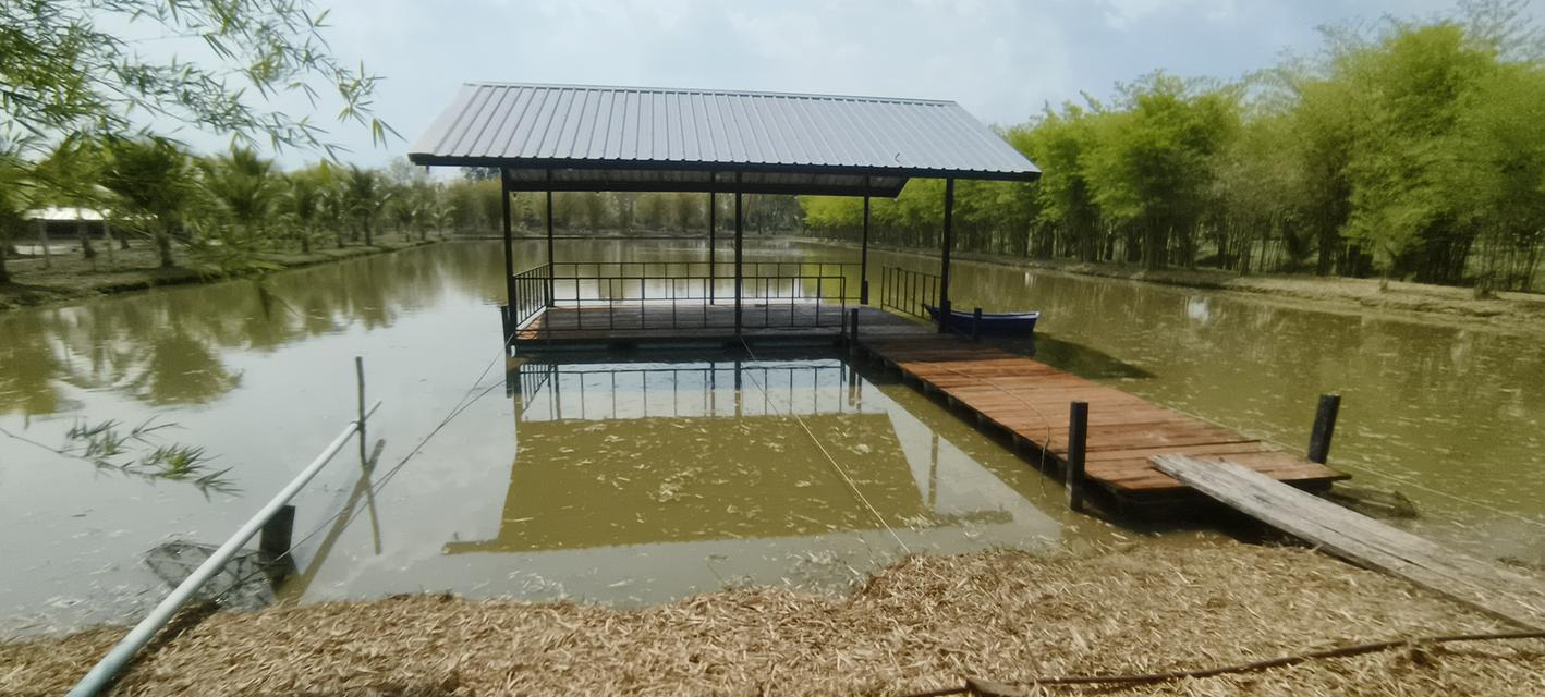 บ้านสวนพร้อมที่ดินสวย 3