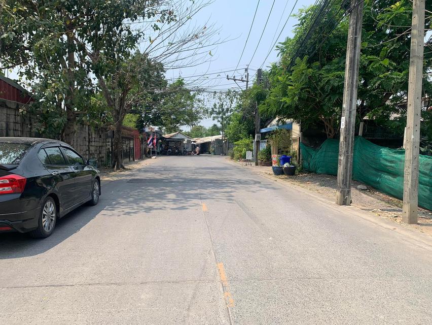ขายที่ดินเปล่า แปลงใหญ่แปลงสุดท้าย ซอย ติวานนท์ 45 4
