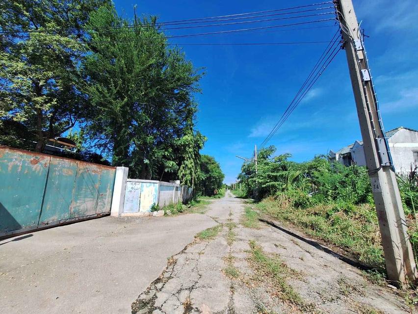 ขาย ที่ดิน บางบัวทอง ซอย วัดลาดปลาดุก 107 ตร.ว. แปลงสวย ริมในสุด