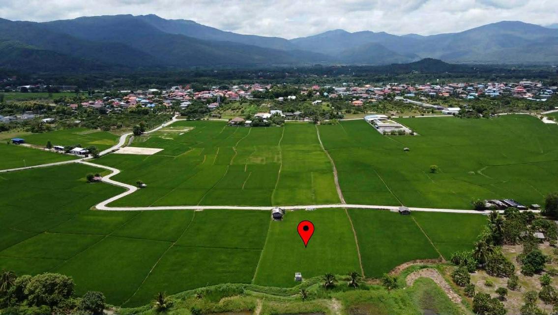 ที่ดินวิวสวย จอมทอง เชียงใหม่ 2