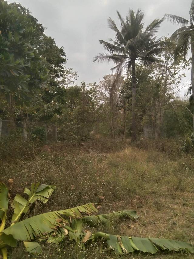 ขายบ้านมือสองพร้อมที่ดิน 14