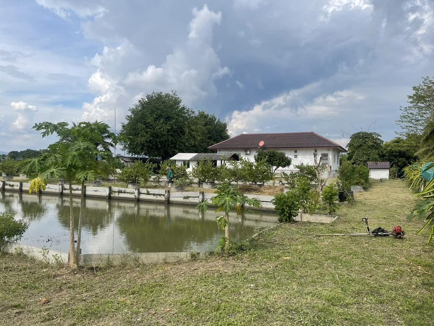 🏡ขายที่ดินพร้อมบ้านสวน พร้อมเข้าอยู่ 👩‍🌾👨‍🌾  📍ตำบล สง่าบ้าน อำเภอดอยสะเก็ด จังหวัดเชียงใหม่ 13