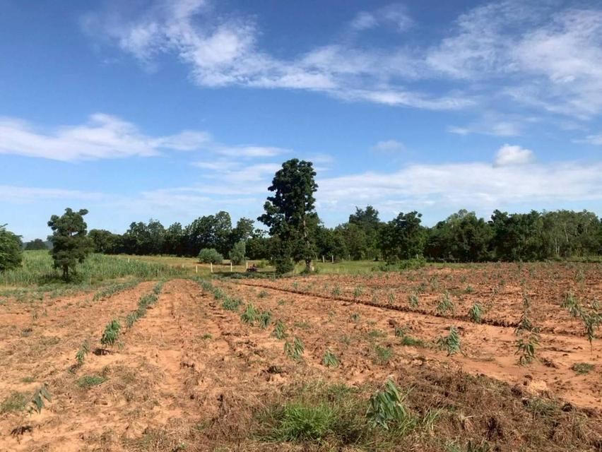 ที่ดินเปล่า จ.ลพบุรี อ.ลำสนธิ 12