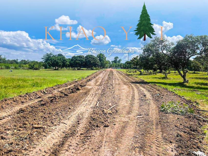 บรรยากาศเขาใหญ่ ปากช่อง #ติดลำธาร  เพียง 7,500/ตรว. ผ่อน12งวด #ฟรีดอกเบี้ย 10