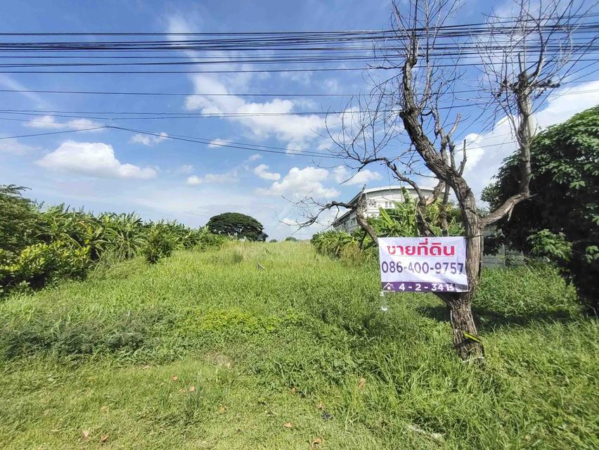 ขายที่ดิน 4 ไร่ กว่า ถนน เกตุอ่ำพัฒนา แยกจาก ซอย วัดลาดปลาดุก 2