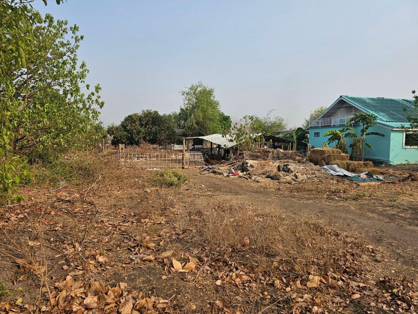 ขายที่ดินแปลงสวย ถูกสุดในย่าน 2 ไร่ 2 งาน 97 ตารางวา อำเภอดอยหล่อ จังหวัดเชียงใหม่ 11