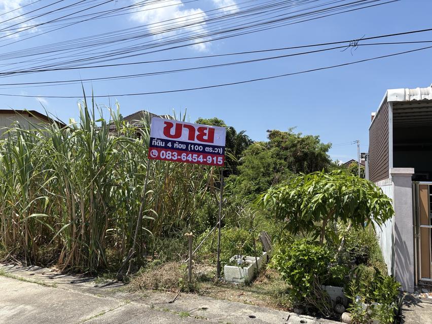 ที่ดิน 100 ตร.วา เขารูปช้าง สงขลา 3
