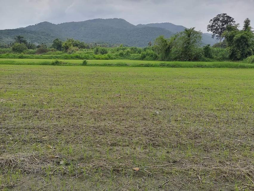 ที่ดินสวยวิวเขาหนองรี 6