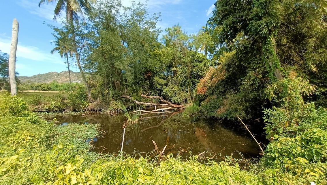 ที่ดินริมถนนอดิเรกสาร อ.แก่งคอย จ.สระบุรี 26.5 ไร่ เจ้าของขายเองแบบลดราคาถูกที่สุด 5