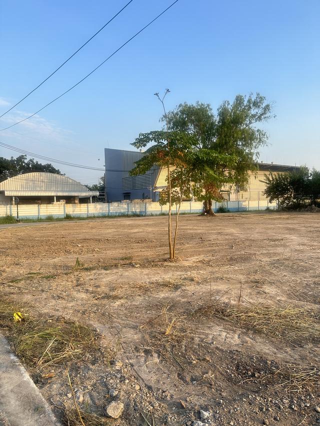 ขายที่ดิน3ไร่ สร้างบ้าน โรงงาน บริษัทหรือโกดังสินค้า 2