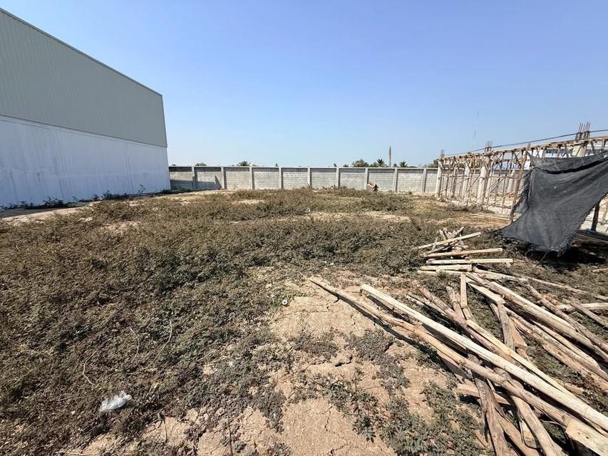 ขายที่ดินใกล้ FC FACTORY 138 ตารางวา *ติดถนนคอนกรีตสาธาธารณะ ถมแล้ว ถนน 340 ต.ละหาร อ.บางบัวทอง จ.นนทบุรี 3