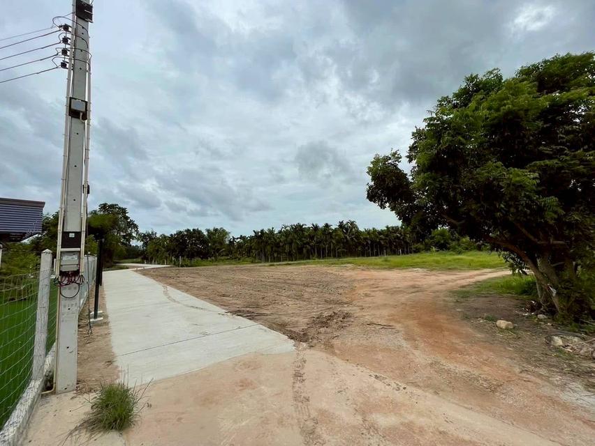 ขายที่ดินตาขัน 1 ไร่ ถมแล้ว ใกล้ตลาดสดบ้านค่าย9กม. ใกล้ถนนเส้นเชิงเนิน-ชากบก1.6กม. อ.บ้านค่าย ระยอง 3