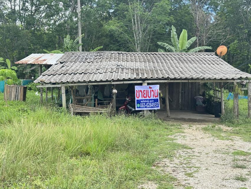 ที่ดินพร้อมบ้าน พื้นที่1ไร่กว่า 1