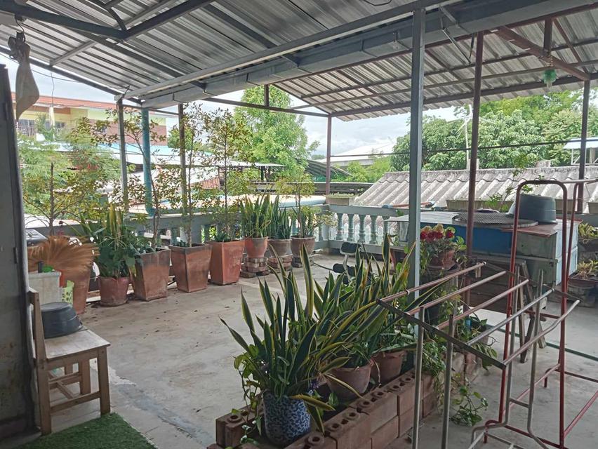 อาคารพาณิชย์ 2 คูหา หน้ากว้าง 8 เมตร ลึก 32 เมตร ใจกลางเมือง จ.แพร่ 7