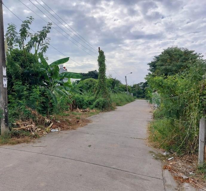 ขายที่ดิน เนื้อที่ 91 ตร.ว. ซอยอ่อนนุช 66 แยก 19-12-4 ใกล้สวนสาธารณะบึงหนองบอน 4