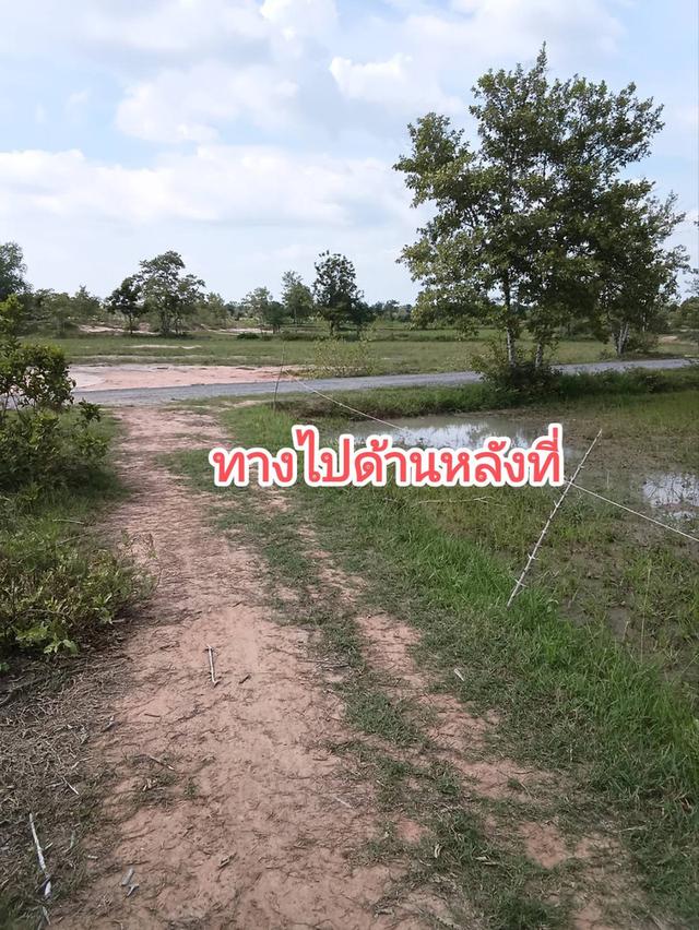 ที่นาสวย**เจ้าของขายเอง**ด้านหน้าติดถนน*ด้านหลังติดเหมืองส่งน้ำ*มีถนนเลียบข้างที่จากด้านหน้าที่ไปหลังที่*เข้าออกได้หลายทาง*2 กม.จากถนน2068 ไร่ละ82,000 2