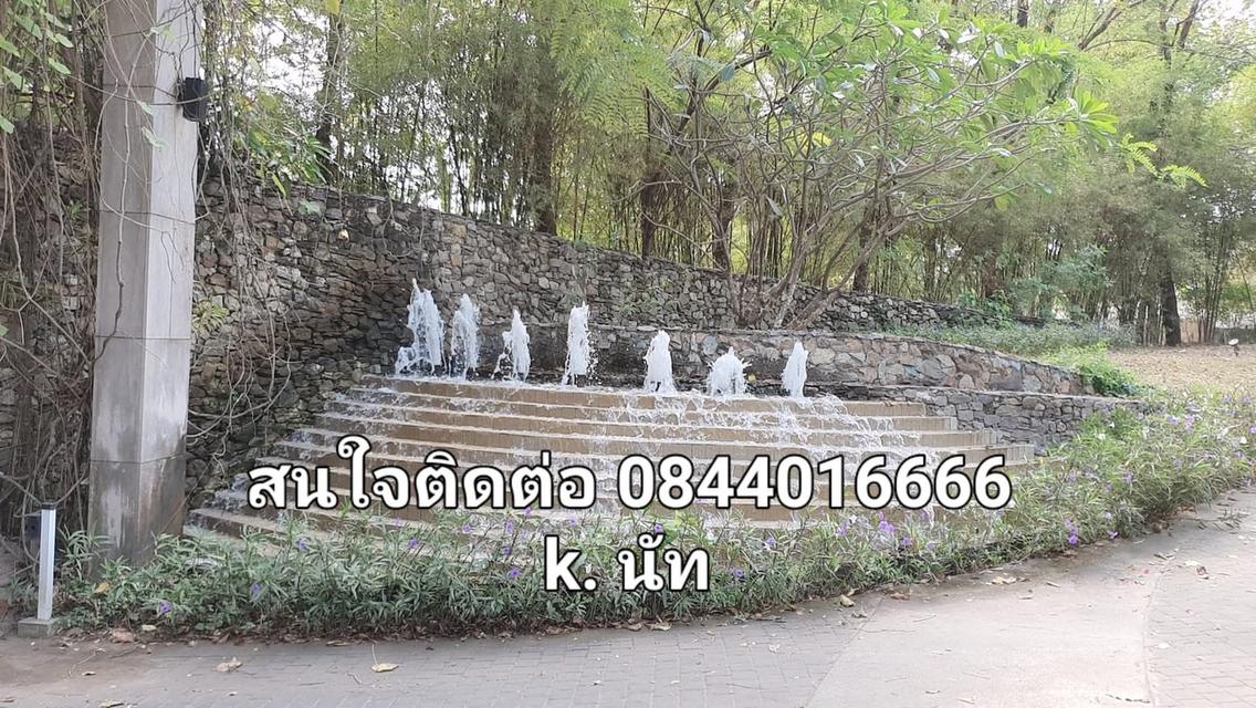 บ้านเดี่ยว 2ชั้น 4นอน 4น้ำ 2จอด 13