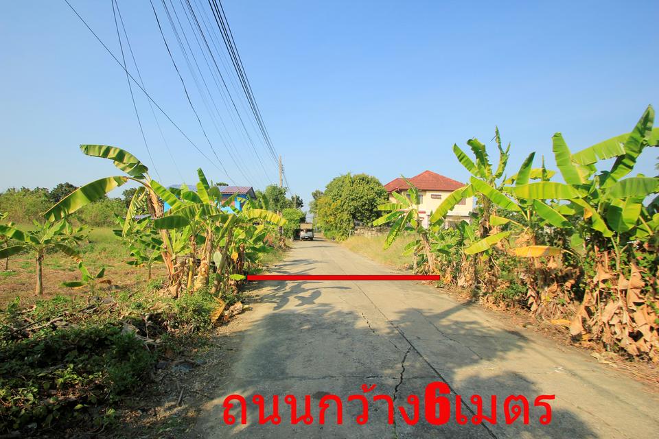 ที่ดินพุทธมณฑลสาย2ซอย21 ซอยศุภมิตร 114วา ที่ดินสร้างบ้าน ติดทางสาธารณะประโยชน์ ใกล้ถนนพรานนกสาย4 ตัดใหม่ เดินทางสะดวก 30,000บาท/วา 6