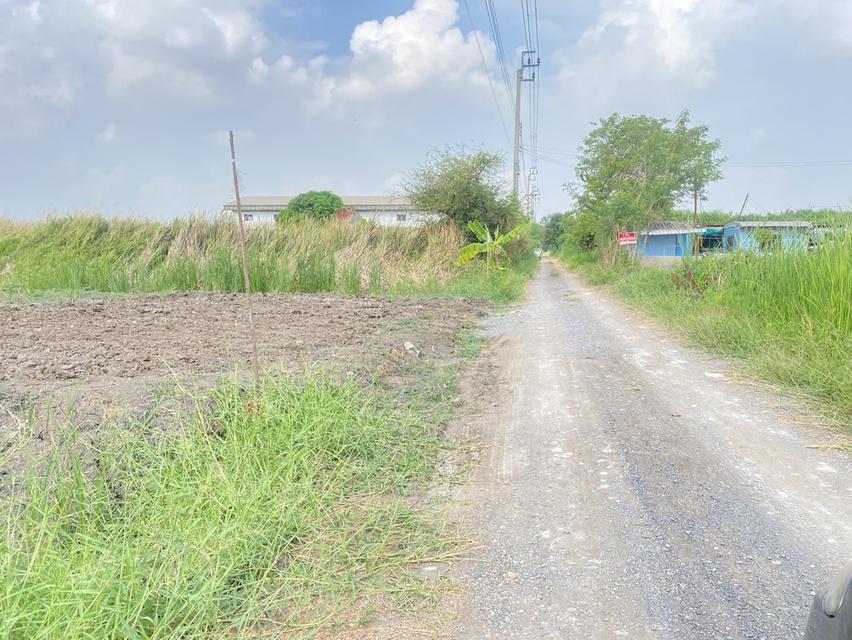 ขายที่ดินเปล่า ติดคลังสินค้า icd ลาดกระบัง 3