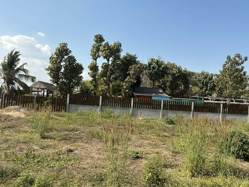 ขายที่ดินติดริมน้ำปิงกำแพงเพชร 11