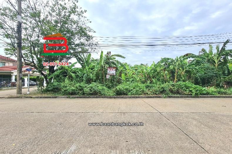 ที่ดินเปล่า หมู่บ้านปาริชาต 345 (โซน B ซอย 15) เนื้อที่ 81 ตร.ว ตำบลบางคูวัด อำเภอเมืองปทุมธานี ปทุมธานี 1