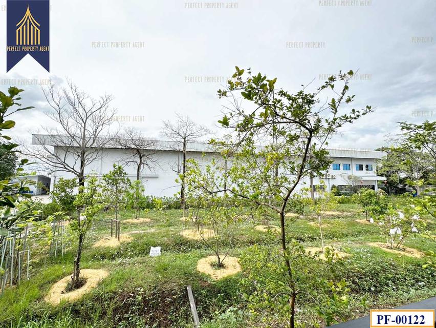 ขาย โรงงานโกดัง มีใบอนุญาติ ลาดกระบัง ฉลองกรุง 16